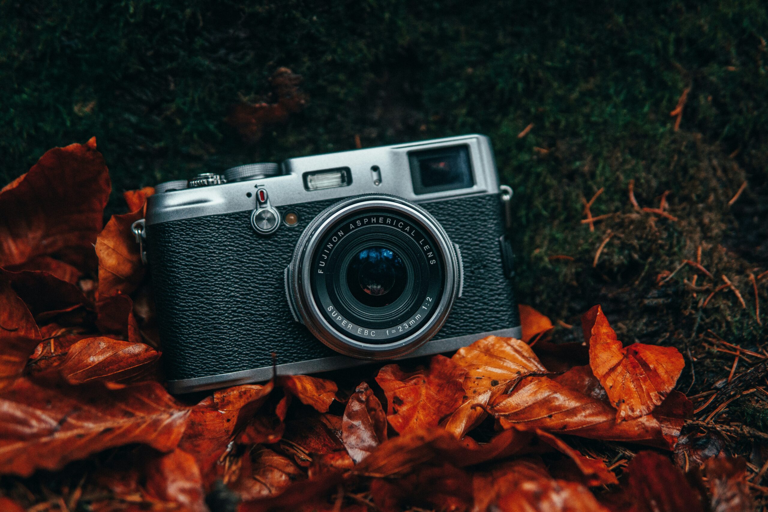 benjamin-raffetseder-HDIUUSO5C8g-unsplash